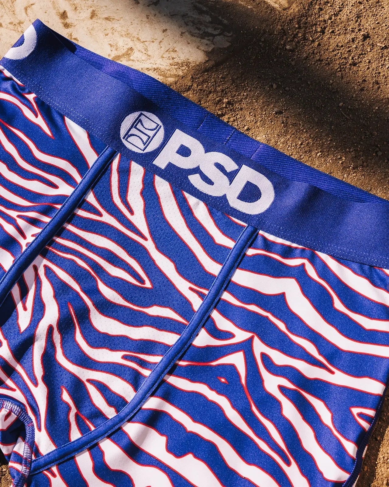 Rookie of the Year - Image 3