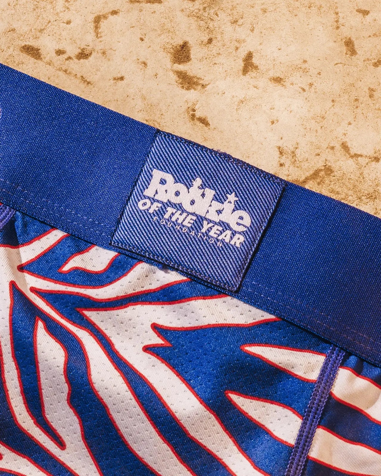 Rookie of the Year - Image 4