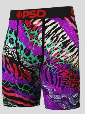 Paolo Banchero - Safari