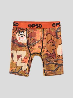 Looney Tunes - Woodland Taz