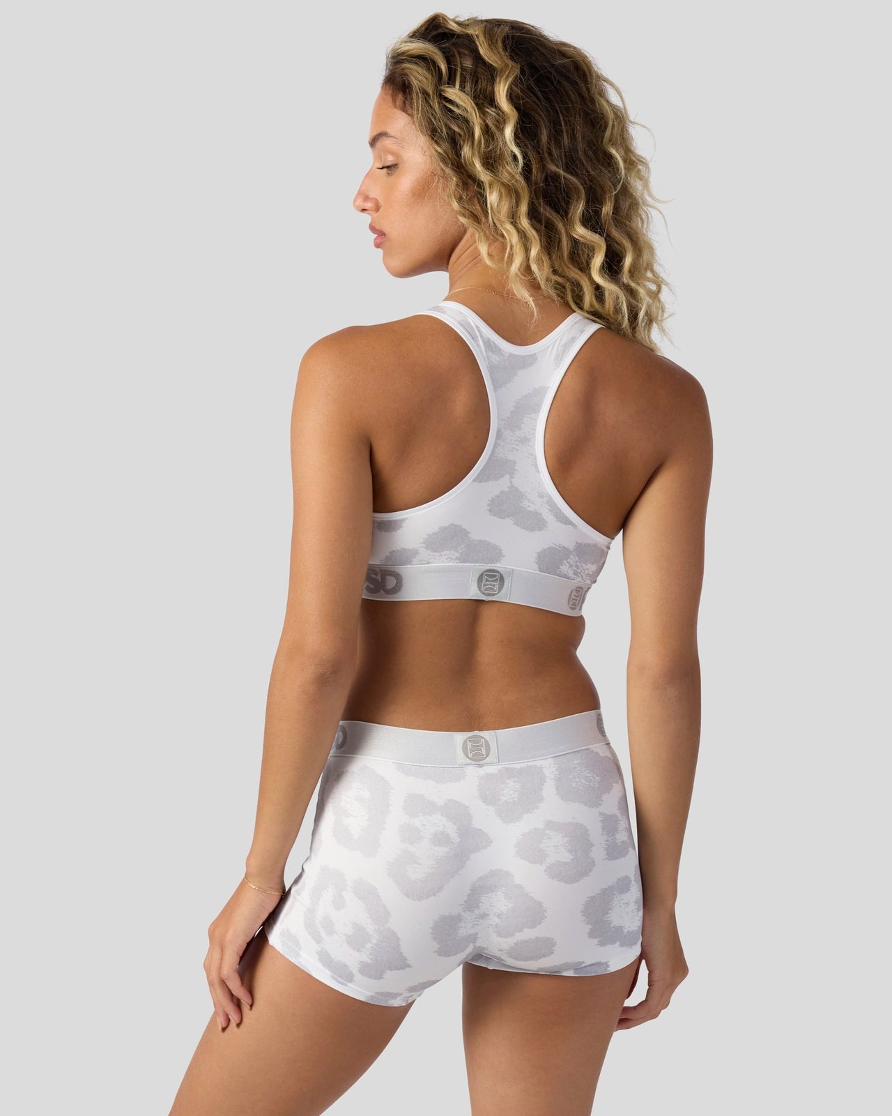 Snow Leopard - Image 4